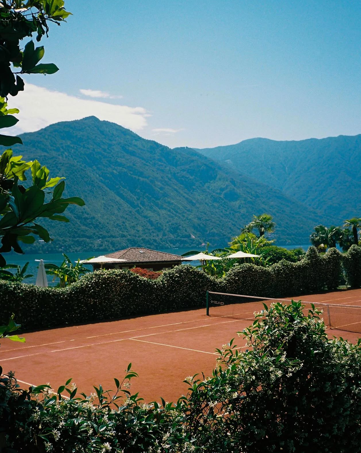 Paradise Courts
